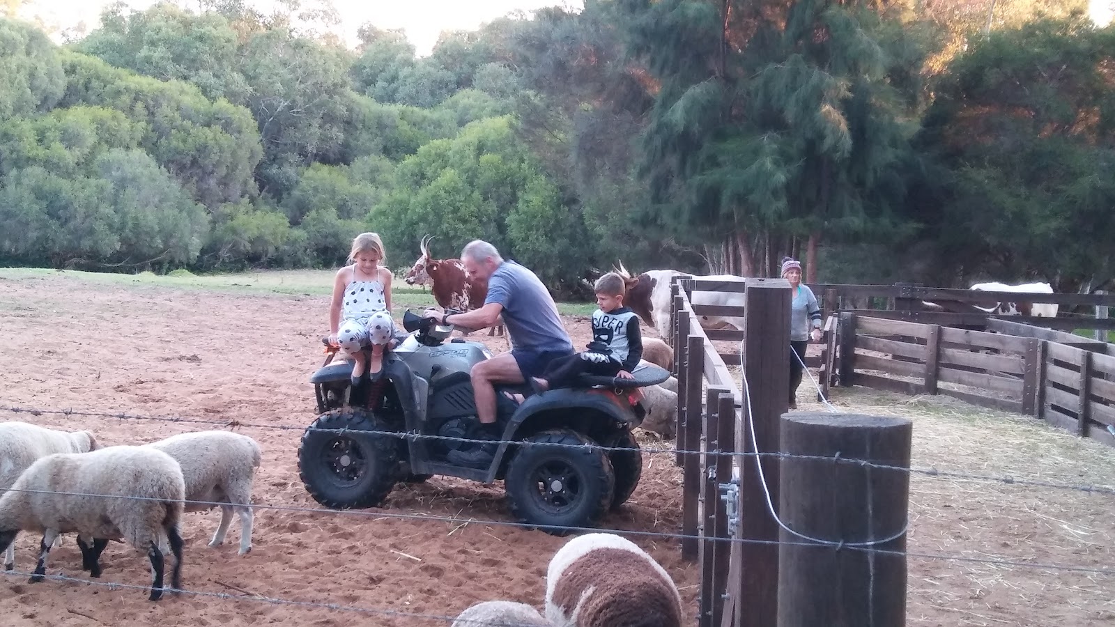 Willowbrook Farm Caravan Park 7