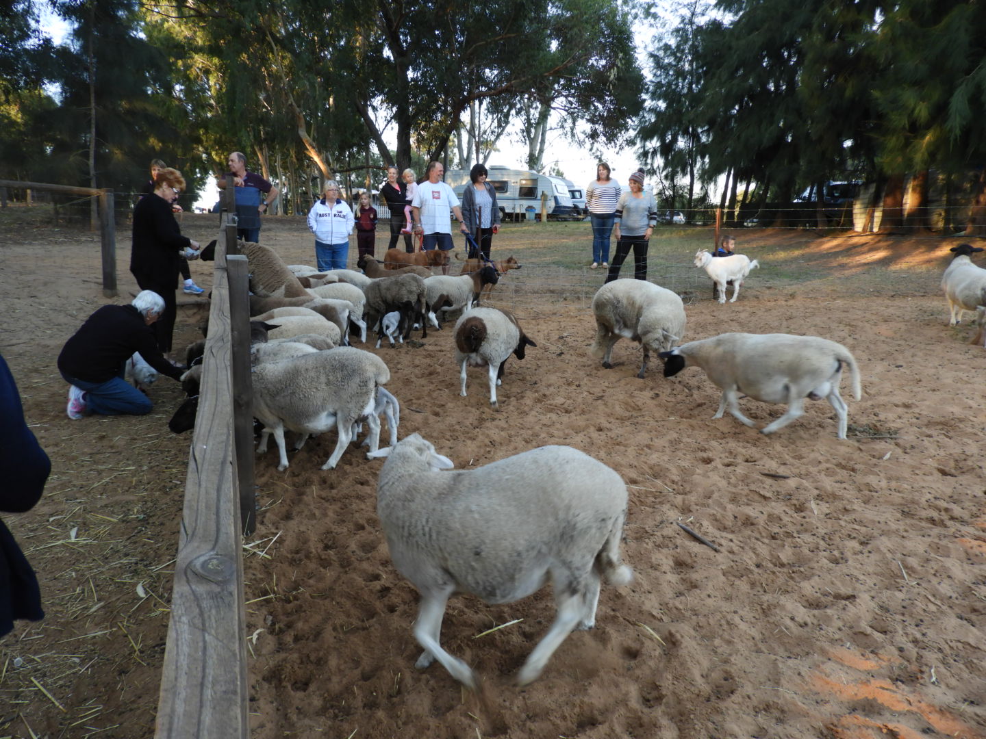 Willowbrook Farm Caravan Park 9