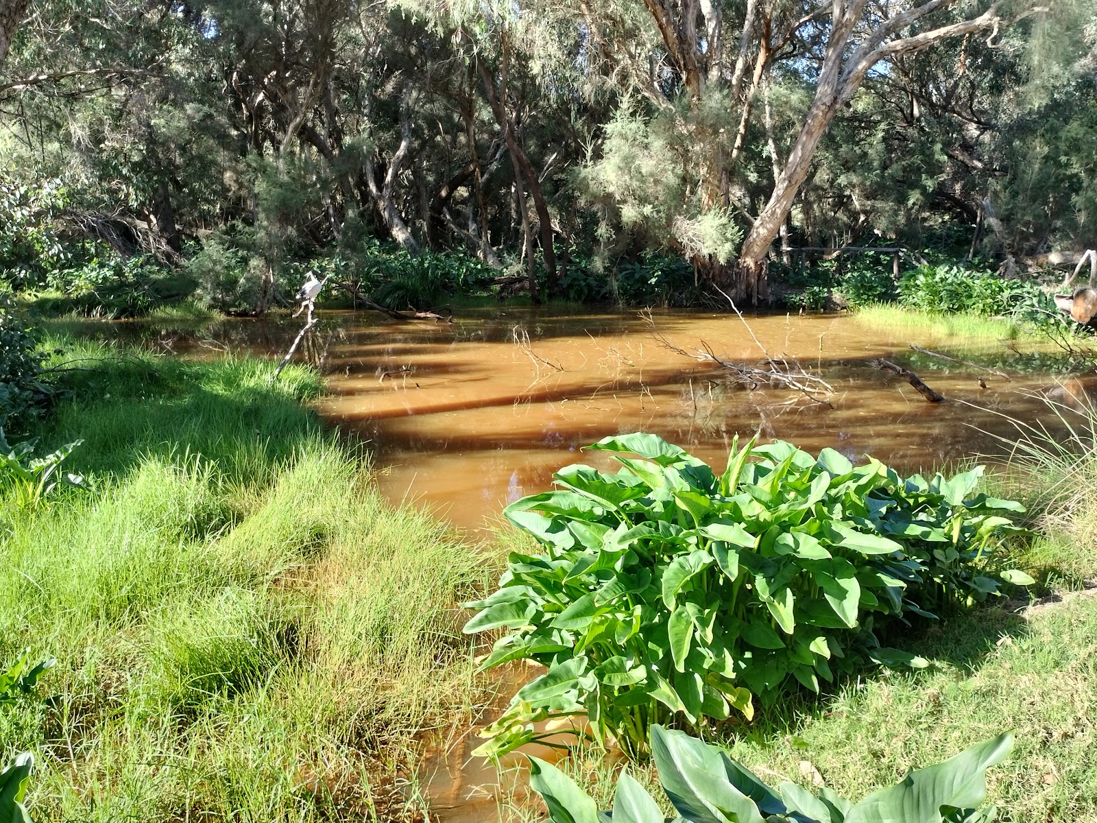 Willowbrook Farm Caravan Park 10