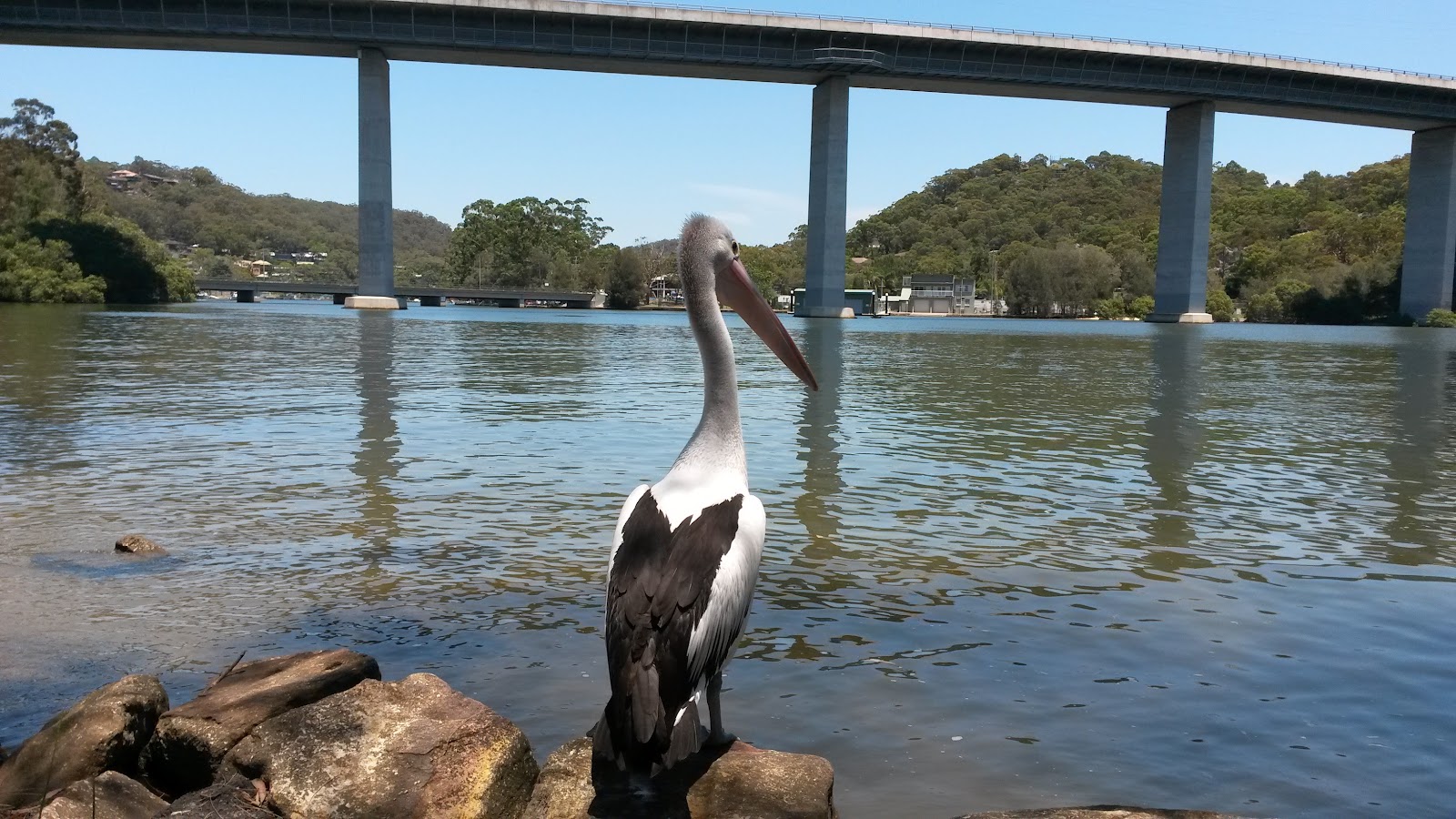 Woronora Village Tourist Park 3