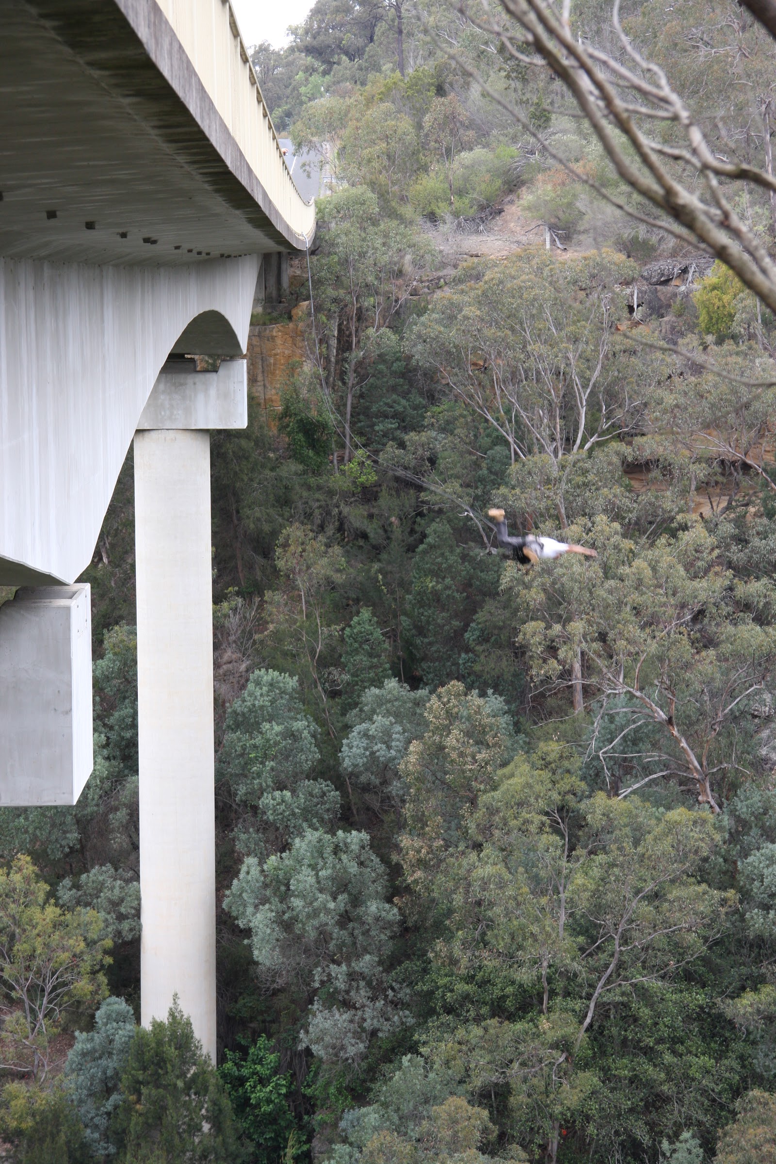 Woronora Village Tourist Park 6